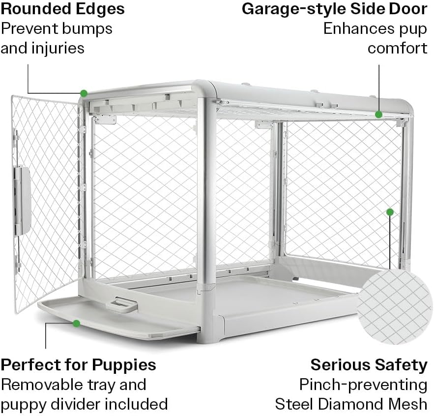 DIGGS Revol Collapsible Dog Crate with Wheels - Premium Portable Dog Crate - Safe, Stylish, and Convenient Indoor Kennel (Ash, Intermediate)