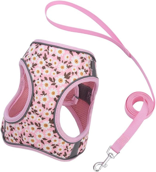 Step in Dog Harness and Leash Set, Flower Adjustable Easy Walk Puppy Harnesses, Soft Mesh No Pull Pet Vest Harness for Small Medium Dogs(Daisy, M)