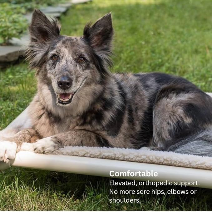 Kuranda Chewproof Elevated Dog Bed – 40" x 25" - Sunsure Textilene - Birch