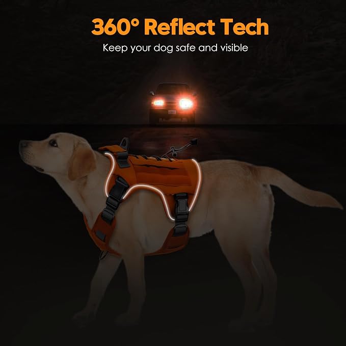 Heavy-Duty Tactical Dog Harness for Large Dogs, No Pull Adjustable Reflective Pet Vest with Molle System, K9 Military-Grade Control for Service Training, Outdoor & 10+ Breeds, Orange, Small