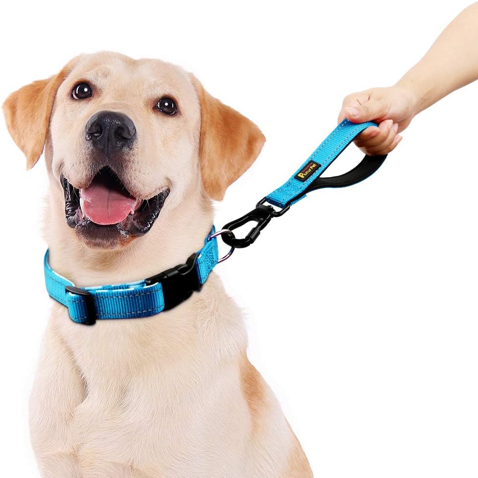 PLUTUS PET 10” Short Dog Leash, Reflective Nylon Padded Handle, Strong Traffic Leash with Carabiner Clip, Perfect for Large or Medium Dogs（10”，Blue