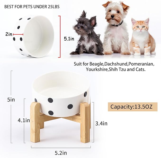 Petygooing Raised/Elevated 15°Slanted Ceramic Dog Bowl for Small Breeds,Tilted Anti Slip Pet Bowl,Food Water Dish with Stand for Cats and Small Dogs Puppy 13.5 OZ (5.1In / 1.7 Cups) Black Dot