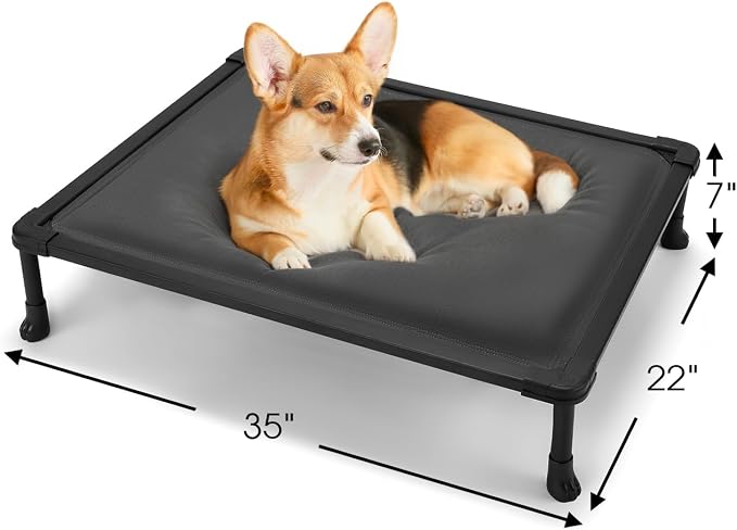 Veehoo Chew Proof Elevated Dog Bed, Padded Indestructible Raised Dog Cot | Orthopedic Dog Platform Bed with Soft Padded Mat, Durable Waterproof Pet Cot for Indoor, Outdoor or Crate, 35-Inch, Grey