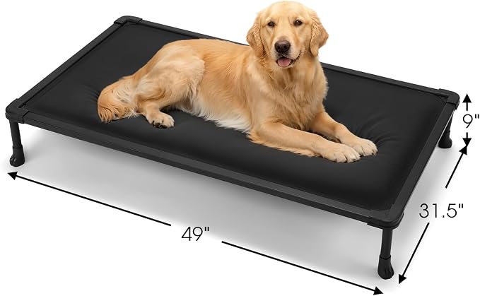 Veehoo Chew Proof Elevated Dog Bed, Padded Indestructible Raised Dog Cot | Orthopedic Dog Platform Bed with Soft Padded Mat, Durable Waterproof Pet Cot for Indoor, Outdoor or Crate, 49-Inch, Black