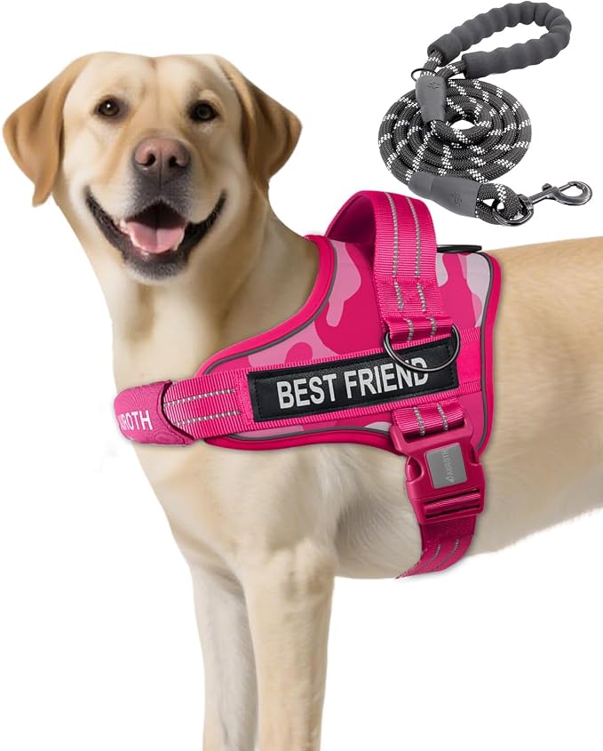 AUROTH Dog Harness for Large Dogs No Pull Tactical Harness and Leash Set | with Leash Clips, LED light clip, Breathable Mesh Padded No Choke, Easy Walking and Training, Pink Camo, Large