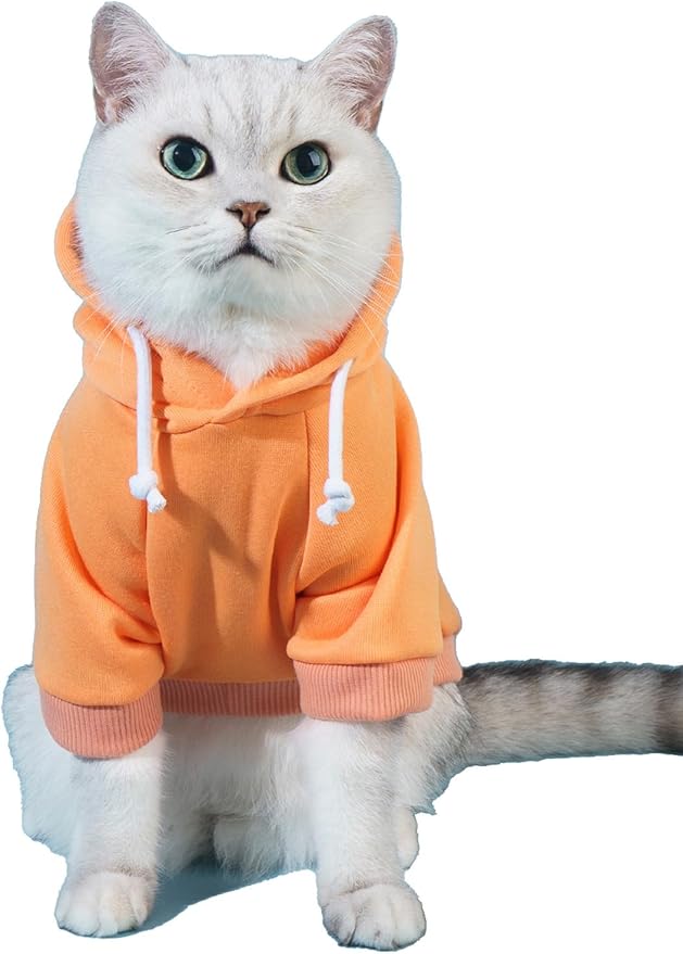 QWINEE Basic Dog Hoodie Sweatshirt Puppy Sweater Warm Cat Costumes Pet Clothes for Chihuahua Puppy Kitten Small Medium Dogs Orange X-Large