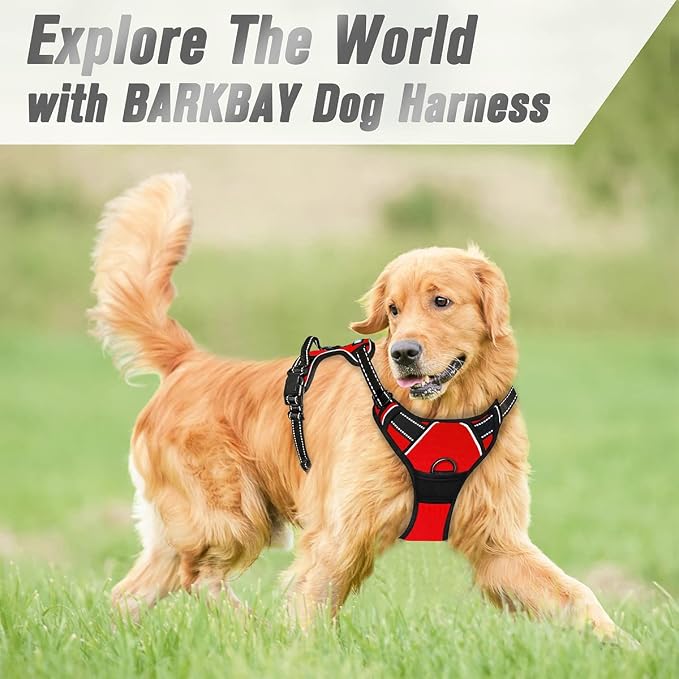 BARKBAY Dog Harness No Pull for Medium Sized Dog Front Back Clips,Dog Vest | Soft Padded No Choke With Handle,Easy On&Off,Adjustable Reflective For Walking Training Running(Red,M)
