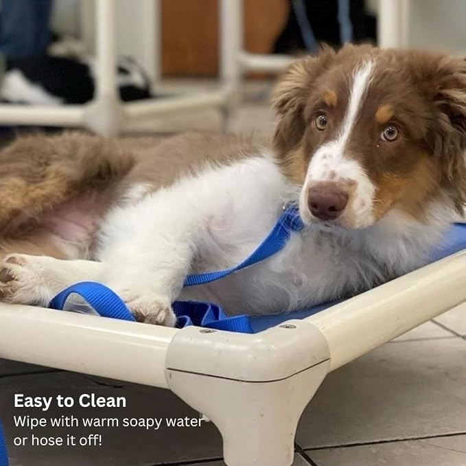 Kuranda Chewproof Elevated Dog Bed – 50" x 36" - Sunsure Textilene - Sierra
