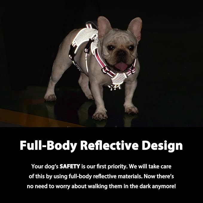 Escape Proof Dog Harness, Dachshund Harness, Reflective Dog Harness with Handle, Durable,Adjustable Vest for Small Medium Large Dogs Walking, Training, and Running Gear (Red,L)