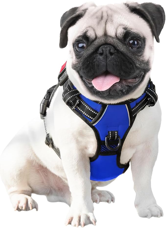 No Pull Dog Harness Medium Reflective Front Clip Vest with Handle | Adjustable 2 Metal Rings 3 Buckles,[Easy to Put on & Take Off](L, Royal Blue)