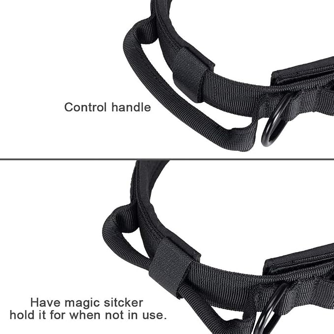 Tactical Dog Collar and Leash Set for Large Dogs with Control Handle，Black | 1000D Heavy-Duty Nylon Fabric,Quick-Release Metal Buckle,Adjustable Fit,Soft-Padded Webbing,D-Ring,for Training & Hiking,XXL