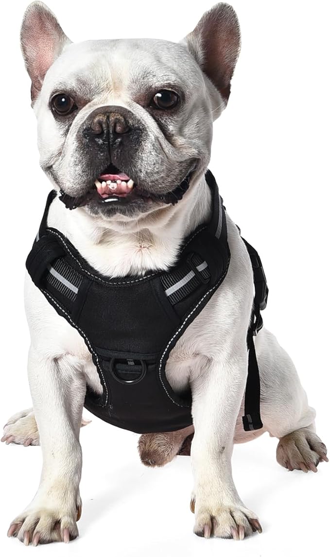 Amazon Basics No-Pull Dog Harness, Adjustable Front Clip, Escape Proof Tactical Vest, Small, Black