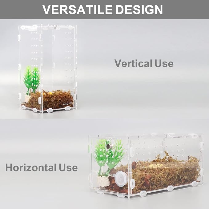 Aiicioo Micro Habitat Terrarium Enclosure 4x4x8 Inches Tarantula Enclosure Box Insect Habitat Clear Acrylic Reptile Feeding Tank for Jumping Spiders Insect Small Tree Dwelling Reptiles