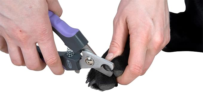 Kruuse Buster Professional Dog Nail Clipper – Large Size – Heavy-Duty Pet Nail Trimmer for Large Dogs and Cats – Stainless Steel Blades, Non-Slip Handle, Safety Guard – Vet-Recommended