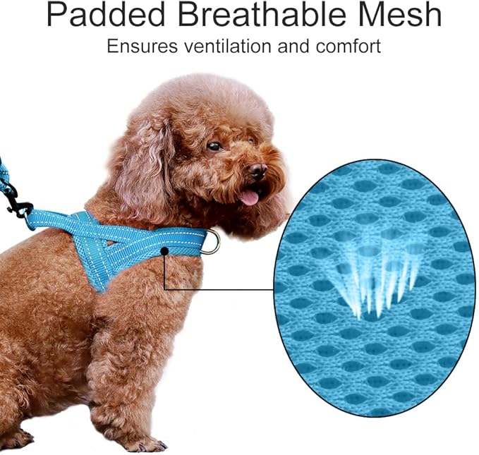 Plutus Pet No Pull Dog Harness for Large Dogs, Breathable Mesh Padded | Adjustable Reflective with Handle, Escape Proof, Quick Fit Pet Vest, Front Clip, for Training and Walking, Cyan, XL