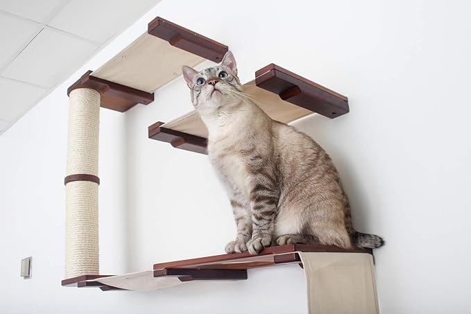 CatastrophiCreations Deluxe Cat Fort Wall Mounted Lounge, Climb and Play Furniture Cat Tree Shelves - Natural/Charcoal Gray, One Size