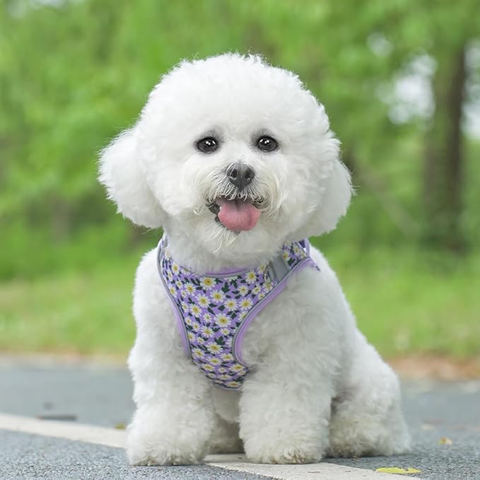 Step in Dog Harness and Leash Set, Flower Adjustable Easy Walk Puppy Harnesses, Soft Mesh No Pull Pet Vest Harness for Small Medium Dogs(Daisy, M)
