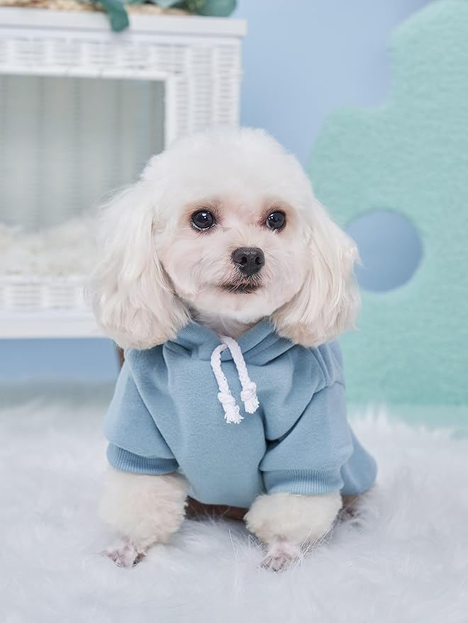 QWINEE Basic Dog Hoodie Sweatshirt Puppy Sweater Warm Cat Costumes Pet Clothes for Chihuahua Puppy Kitten Small Medium Dogs Black Green and Grey X-Small