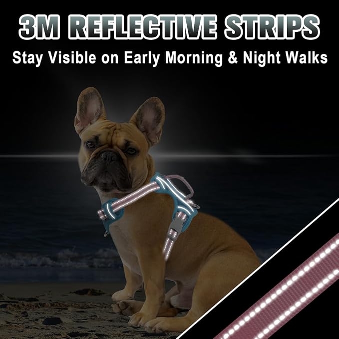 BARKBAY No Pull Dog Harness Large Reflective Dog Harness with Front Clip and Easy Control Handle for Walking Training Running with ID tag Pocket(Baby Blue & Baby Pink,XS)