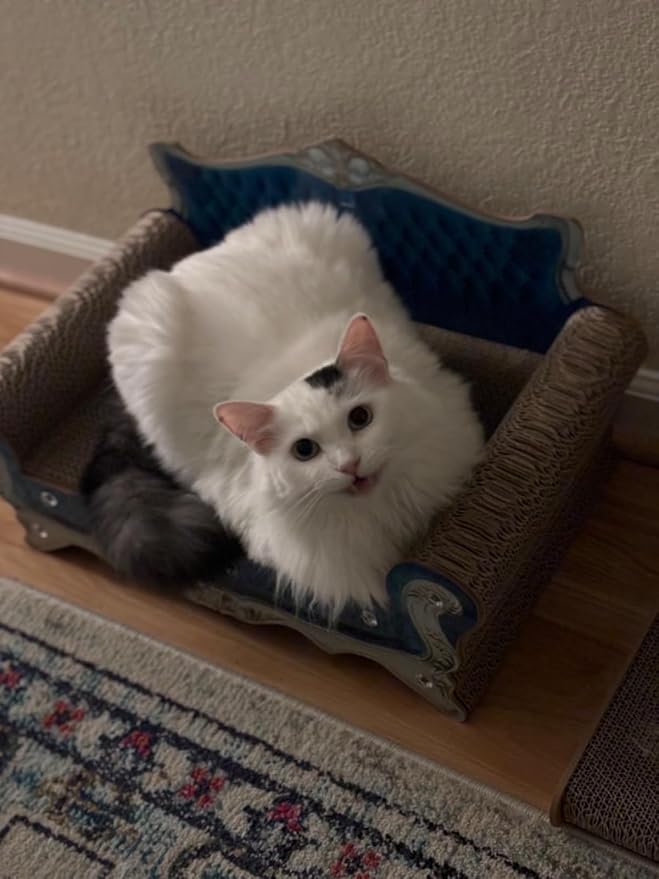 Luxury Cardboard Cat Scratcher Sofa Bed, Couch Shaped Cat Scratching Board, Scratch Lounge with Catnip, Scratcher for Indoor Cats Kittens Kitties