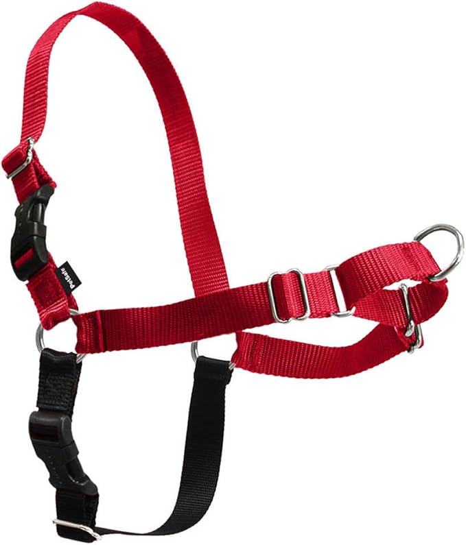 PetSafe Easy Walk Harness, No Pull Dog Harness, Red, Small | Patented Martingale Loop Gives Gradual Shoulder Pressure to Stop Pulling, Front-Chest Leash Clip Prevents Gagging