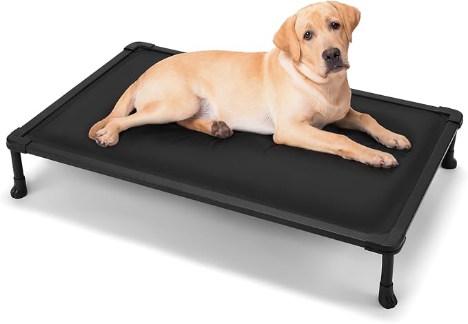 Veehoo Chew Proof Elevated Dog Bed, Padded Indestructible Raised Dog Cot | Orthopedic Dog Platform Bed with Soft Padded Mat, Durable Waterproof Pet Cot for Indoor, Outdoor or Crate, 41-Inch, Black