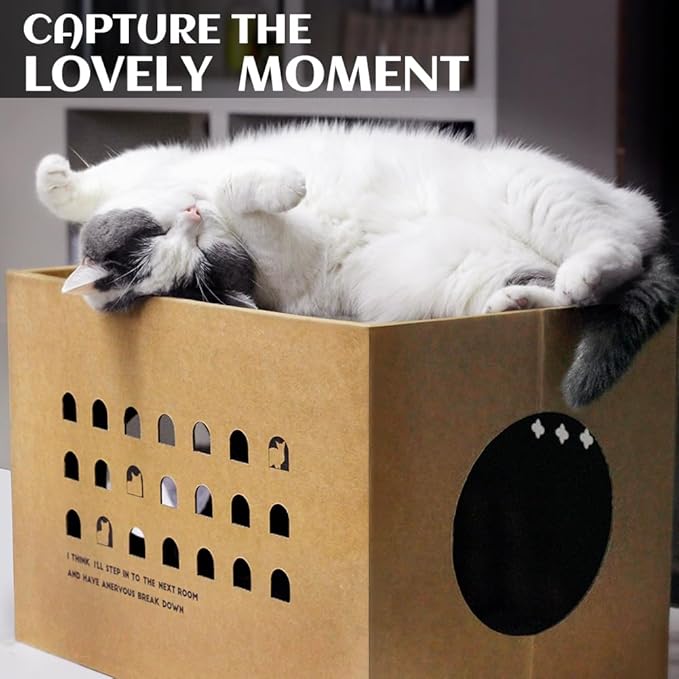 Cat Cardboard House with 2 PCS Scratching Pads，Large Cat Scratcher Bed Cat Scratchers Lounge for Indoor Cats with Corrugated Board Detachable Cat Scratcher Box for Cats(Cactus)