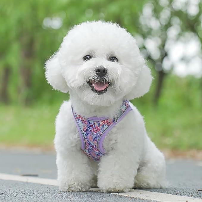 Step in Dog Harness and Leash Set, Flower Adjustable Easy Walk Puppy Harnesses, Soft Mesh Pet Vest Harness Small Size Dog Adjustable No Pull Harness for Small Medium Dogs(Lightpurple, M)