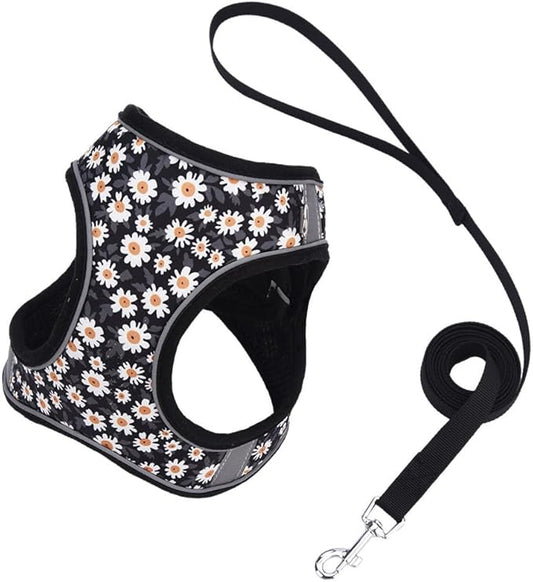 Step in Dog Harness and Leash Set, Flower Adjustable Easy Walk Puppy Harnesses, Soft Mesh No Pull Pet Vest Harness for Small Medium Dogs(Daisy, S)