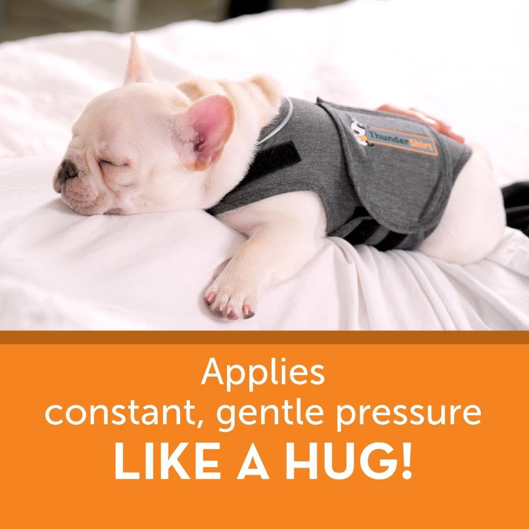 ThunderShirt for Dogs, X Large, Heather Gray Classic - Dog Anxiety Relief Calming Vest