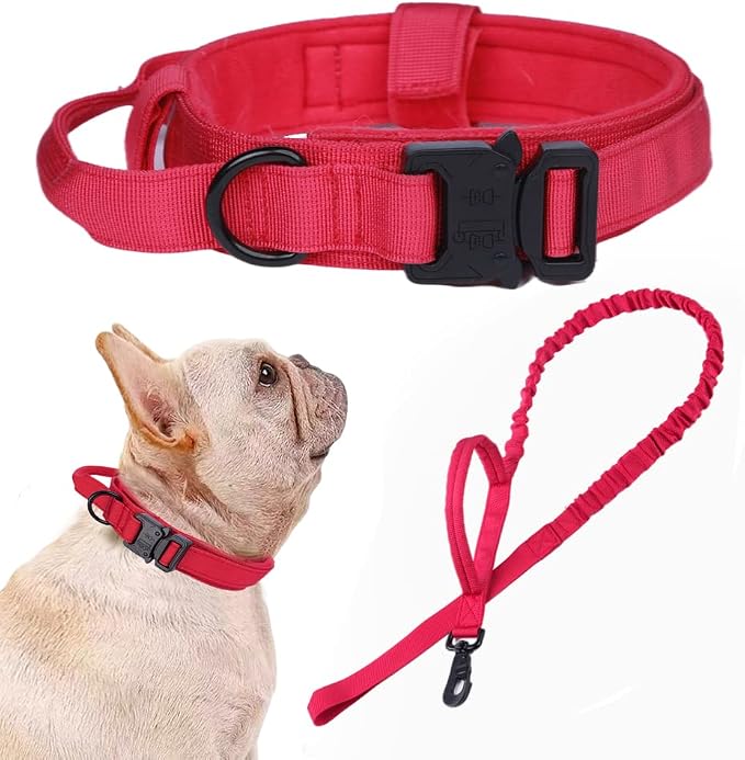 Tactical Dog Collar and Leash Set for Large Dogs with Control Handle,Red | 1000D Heavy-Duty Nylon Fabric,Quick-Release Metal Buckle,Adjustable Fit,Soft-Padded Webbing,D-Ring,for Training & Hiking,S