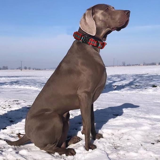 Tactical Dog Collar for Large Dogs with Control Handle,Grid | 1000D Heavy-Duty Nylon Fabric,Quick-Release Metal Buckle,Adjustable Fit,Soft-Padded Webbing,D-Ring,for Training & Hiking,M