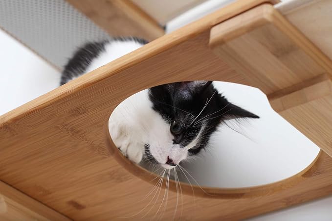 CatastrophiCreations The Roman Cat Fort - Multiple-Level Cat Hammock & Climbing Activity Center Wall-Mounted Cat Tree Shelves
