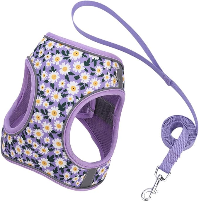 Step in Dog Harness and Leash Set, Flower Adjustable Easy Walk Puppy Harnesses, Soft Mesh No Pull Pet Vest Harness for Small Medium Dogs(Daisy, S)