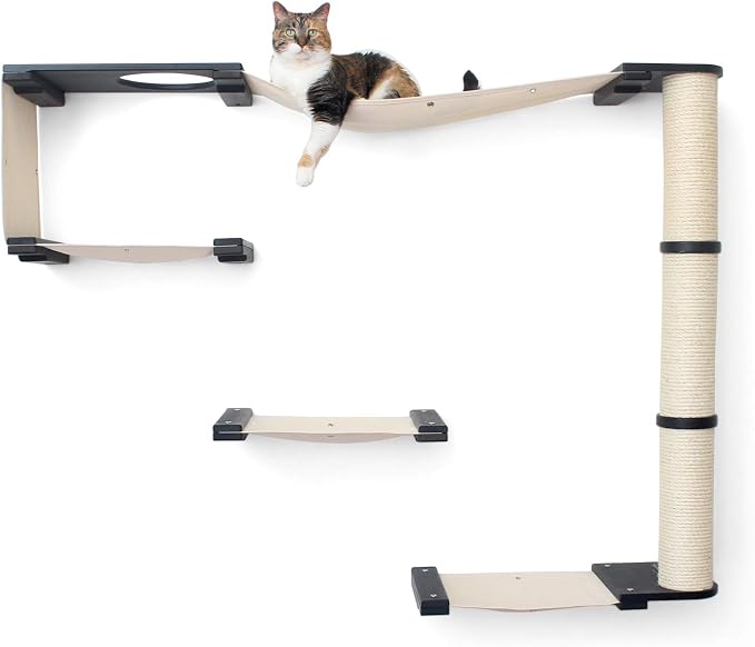 CatastrophiCreations Climb - Multiple-Level Cat Hammock & Climbing Activity Center Wall-Mounted Cat Tree Shelves
