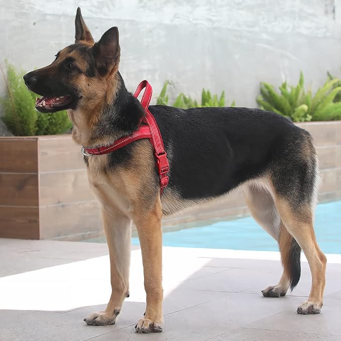 Plutus Pet No Pull Dog Harness for Large Dogs, Breathable Mesh Padded | Adjustable Reflective with Handle, Escape Proof, Quick Fit Pet Vest, Front Clip, for Training and Walking, Red, XL
