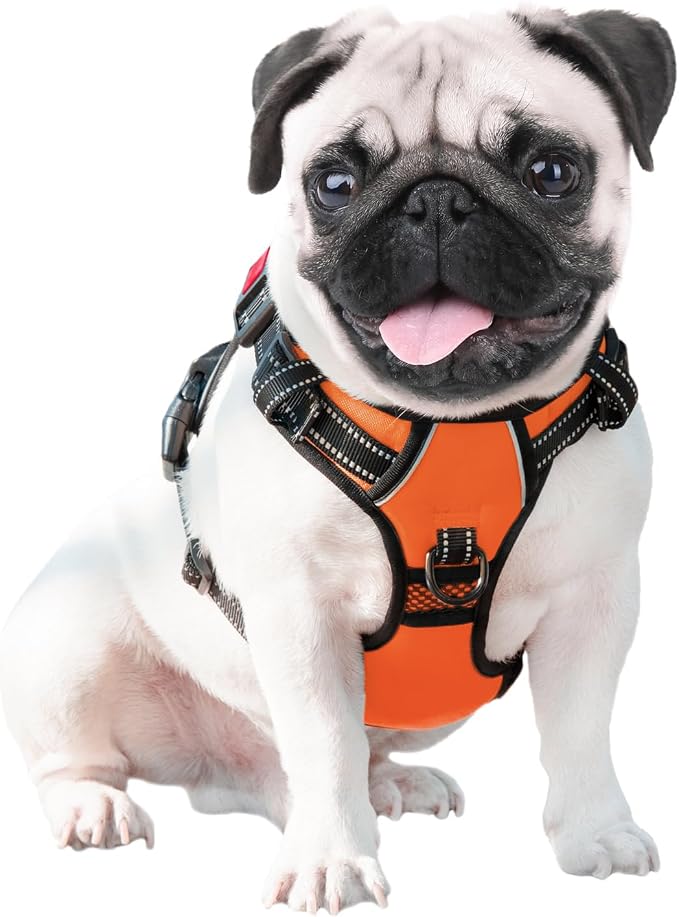 No Pull Dog Harness Medium Reflective Front Clip Vest with Handle | Adjustable 2 Metal Rings 3 Buckles,[Easy to Put on & Take Off](M, Orange)