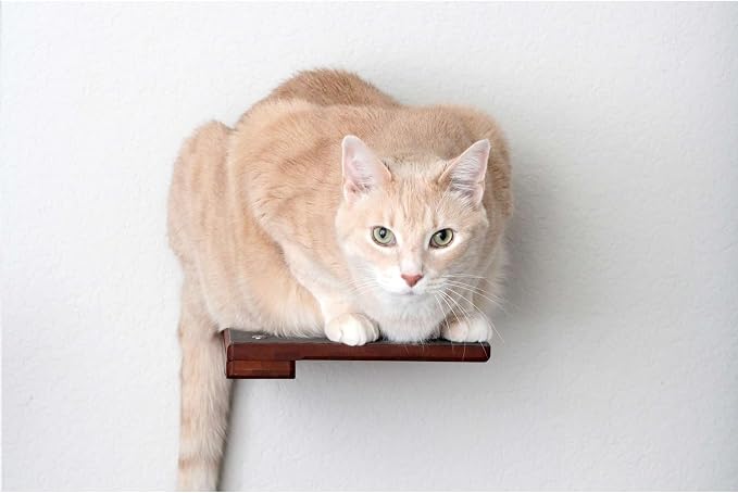 Catastrophic Creations Wooden Cat Step Floating Shelf (English Chestnut Bamboo)— Cat Wall Furniture For Indoor Cat — Platform Climber Wooden Cat Shelves —Playing & Jumping — Cat Wall Shelves