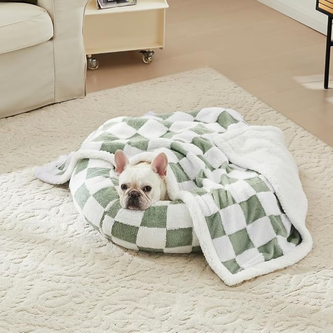 Ohocut Checkered Dog Blanket, Sage Green Jacquard Sherpa Blankets for Small Dog and Cats, Cute Aesthetic Style Fluffy Fleece Pets Blanket for Couch Protection Washable, 25"x35"
