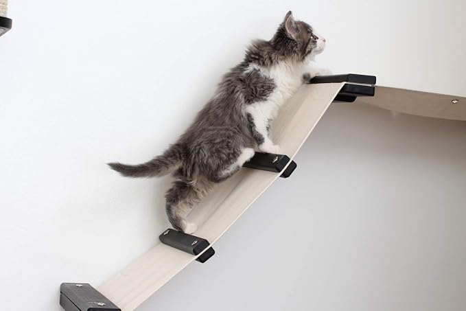 CatastrophiCreations Lift Wall Mounted Cat Tree Shelves, Onyx/Natural, One Size