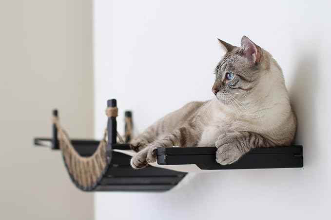 CatastrophiCreations Cat Bridge Wall-Mounted Play and Lounge Toy Cat Tree with Fabric Lounger for Pets