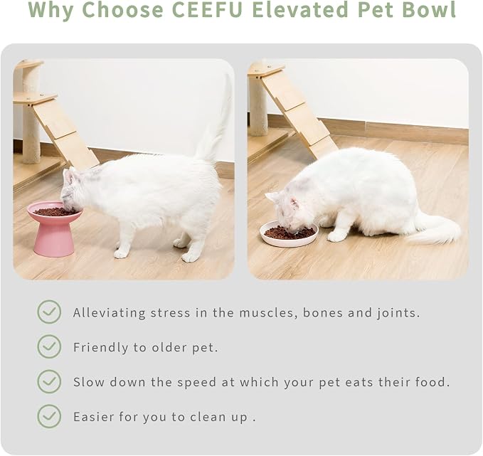 CEEFU 2 Elevated Cat Bowls Extra Wide for Food & Water – Whisker Fatigue, Ceramic Wide Shallow Food Dish, Lead & Cadmium Free, Raised Height for Cats, Pink