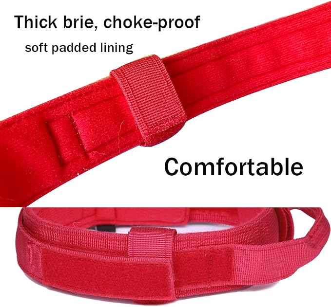 Tactical Dog Collar for Large Dogs with Control Handle,Red,XL | 1000D Heavy-Duty Nylon Fabric,Quick-Release Metal Buckle,Adjustable Fit,Soft-Padded Webbing,D-Ring,for Training & Hiking