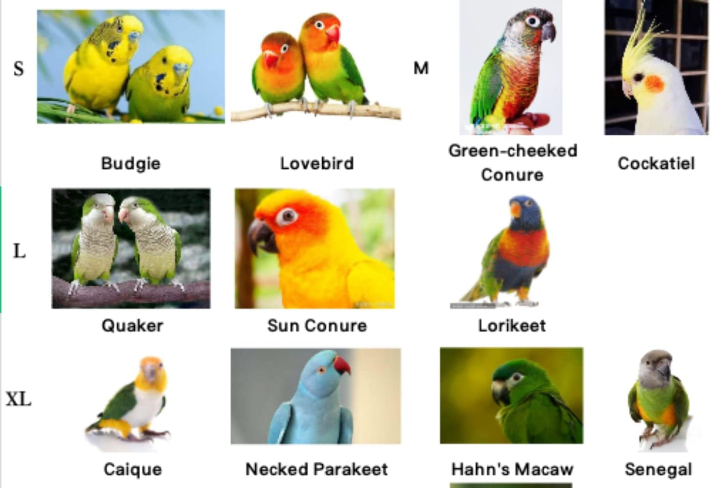 Pet Parrot Bird Harness Leash Adjustable Bird Flying Harness Traction Rope with Cute Wing for Parrots Pigeons Budgerigar Lovebird Cockatiel Mynah Outdoor Training Toy (S, Purple)