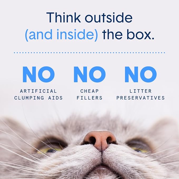 Boxie® Unscented 30 Day Natural Odor Control Cat Litter, 16lb Clumping Clay Kitty Litter (Pack of 2)