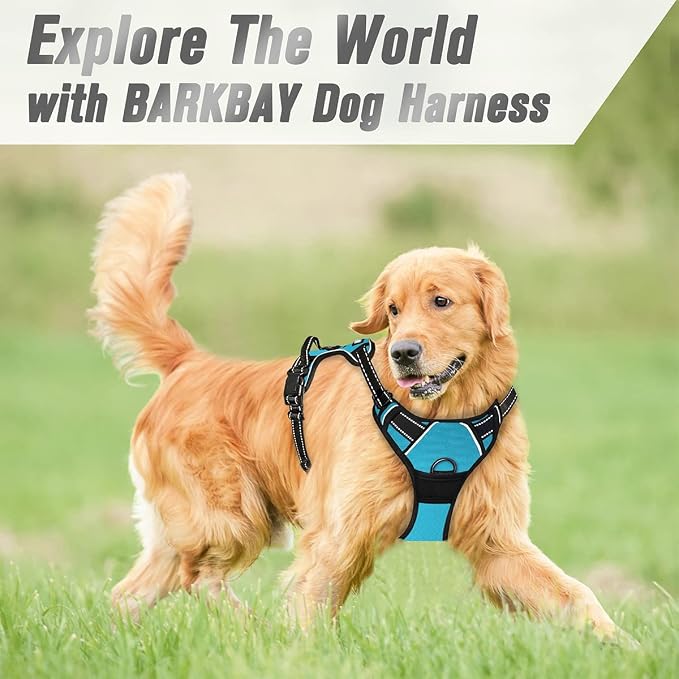BARKBAY Dog Harness No Pull for Medium Sized Dog Front Back Clips,Dog Vest | Soft Padded No Choke With Handle,Easy On&Off,Adjustable Reflective For Walking Training Running(Blue,M)