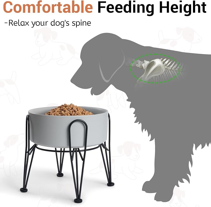 Elevated Dog Bowls, Ceramic Raised Dog Bowl Set with Anti-Slip and Non-Tip Metal Stand, 2 Pack Pet Food and Water Feeding Bowls for Small and Medium Dogs (Gray,7.6 Cups)