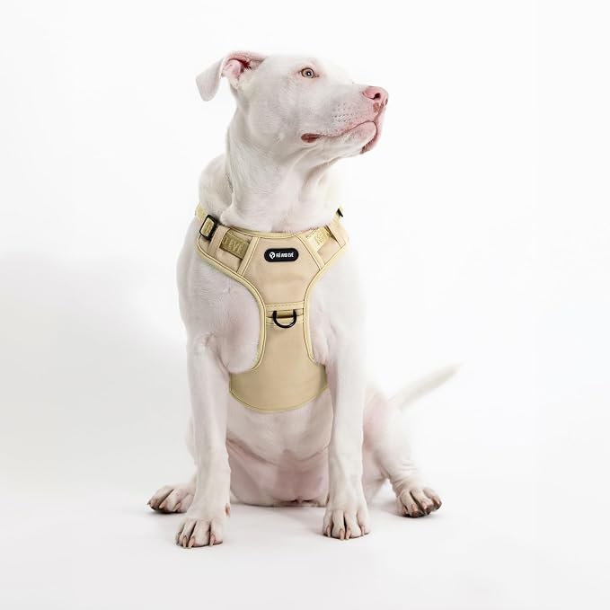 Fei & Eve Classic Dog Harness, MagEase Magnetic Buckle | 3-Point No-Pull Control, Dual Handle Support, 900D Nylon, Tactical Patch Panel, Heavy Duty, Large, Champagne