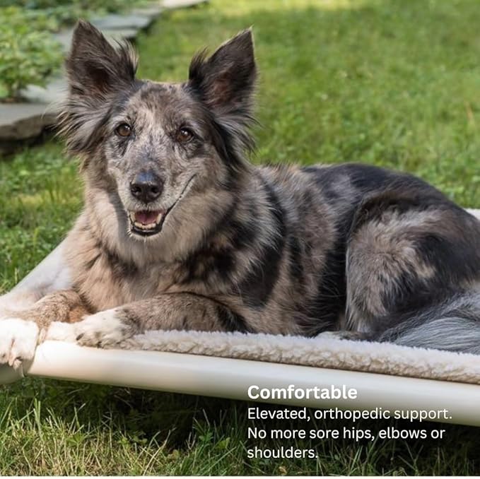 Kuranda Chewproof Elevated Dog Bed – 40" x 25" - Sunsure Textilene - Sierra