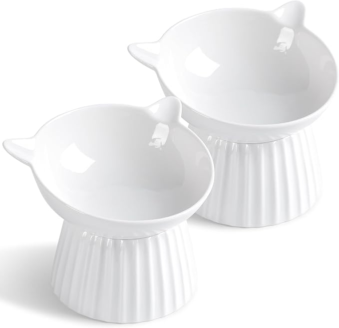 Ceramic Raised Cat Bowl，Tilted Raised Bowl Anti Vomit for Indoor Cats Whisker Friendly Pet Feeder for Cats Puppies, Microwave and Dishwasher Safe (White-2 Pack)